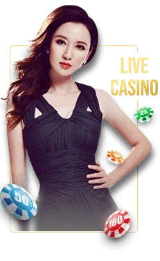 PHP877 live casino experience with real time entertainment and mobile access